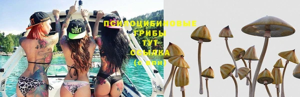 мескалин Аркадак