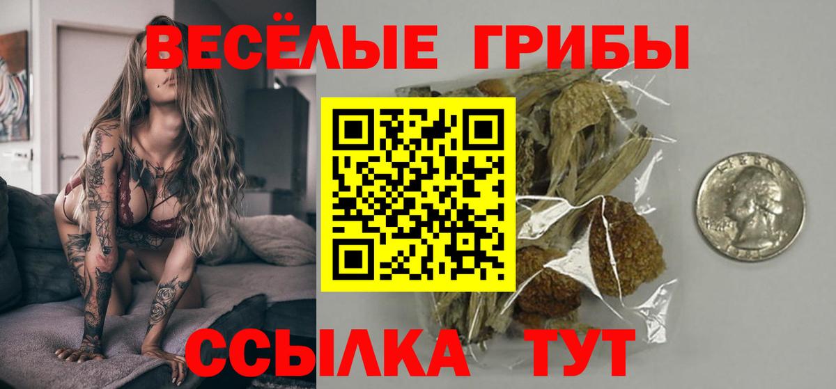 Галлюциногенные грибы Magic Shrooms Пенза