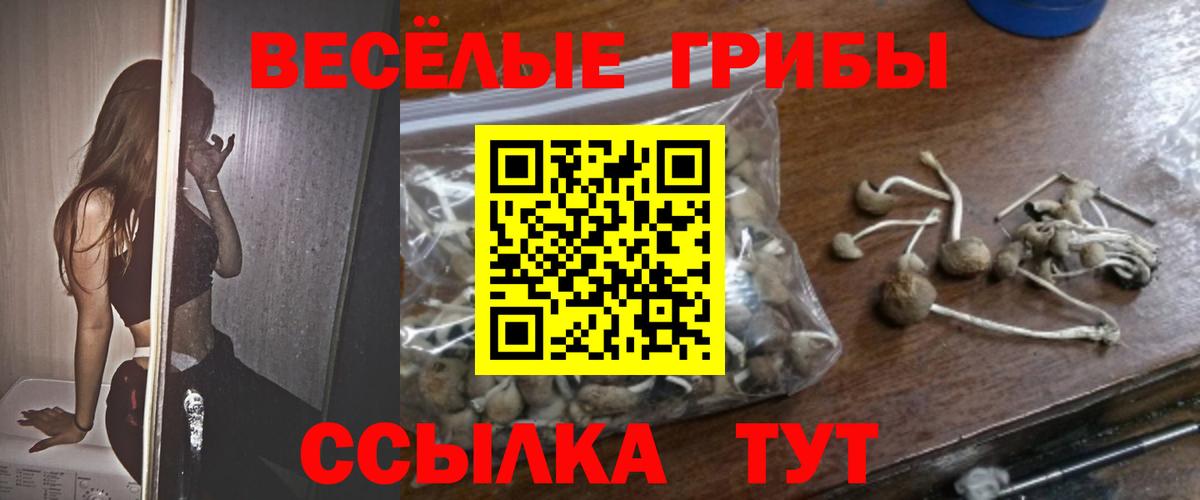 наркота  Галлюциногенные грибы Magic Shrooms  Вход с VPN  Пенза 